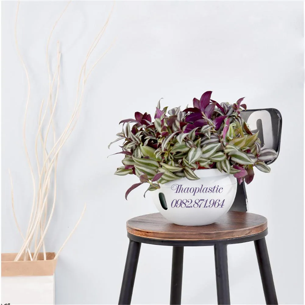 Chậu treo có thể đặt bàn