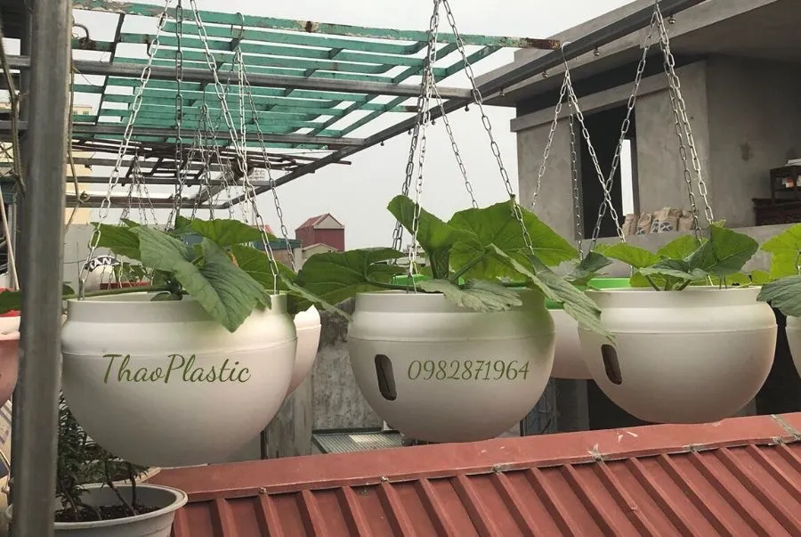 Khách hàng sử dụng chậu ThaoPlastic