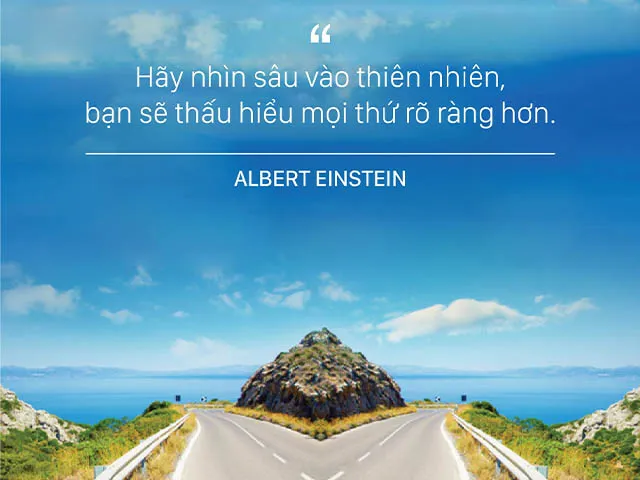 chậu xi măng chữ nhật 1989 JSC chất lượng