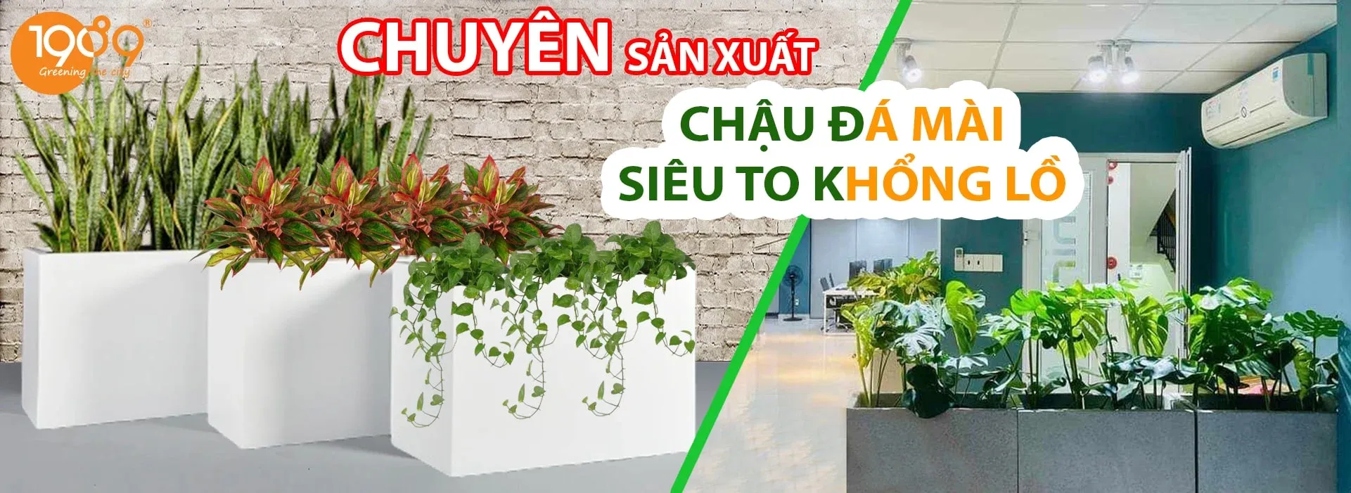 21 Địa Chỉ Bán Chậu Cây Cảnh Chất Lượng Uy Tín Tại TPHCM