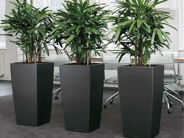 Công ty Havico - chậu cây cảnh xi măng