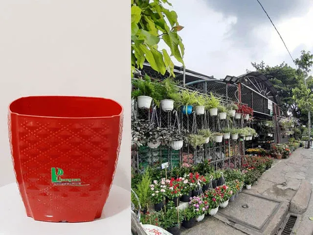 Công ty TNHH Cảnh Quan Phương Nam chậu cây cảnh xi măng