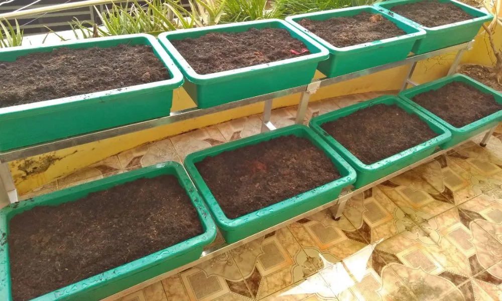 Mua đất trồng cây ở đâu tại Thành Phố Hồ Chí Minh