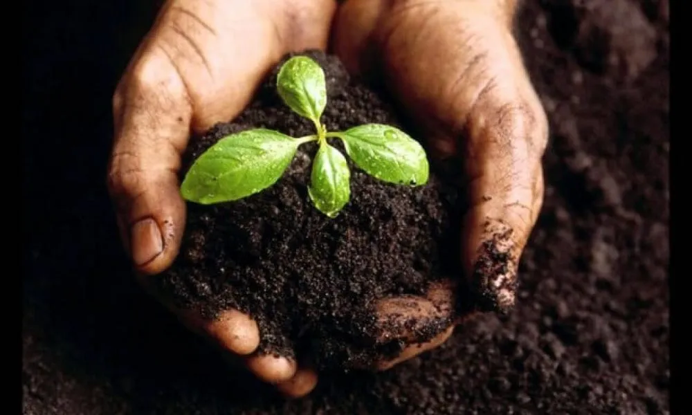 Đất trồng có những tính chất gì?