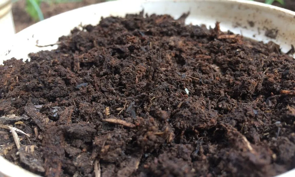 Đất thịt là loại đất được hình thành từ sự kết hợp của ba loại đất