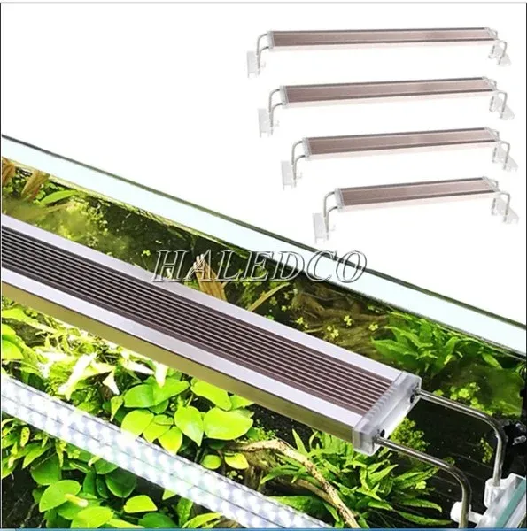 Đèn chuyên dụng cho chiếu sáng bể cá
