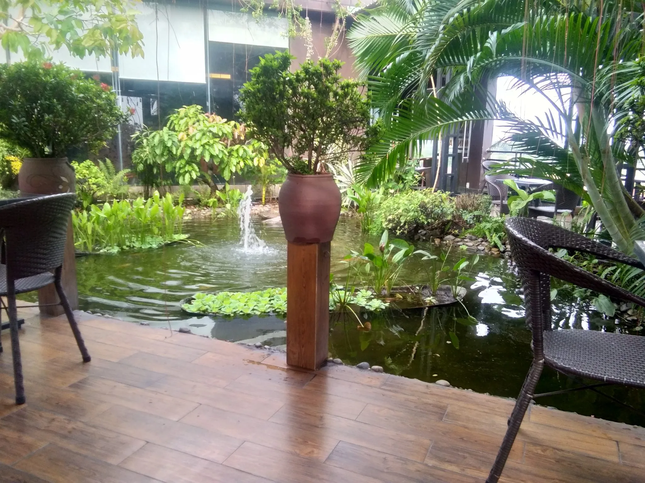 Dịch vụ chăm sóc cây cảnh quán cafe Quận 2