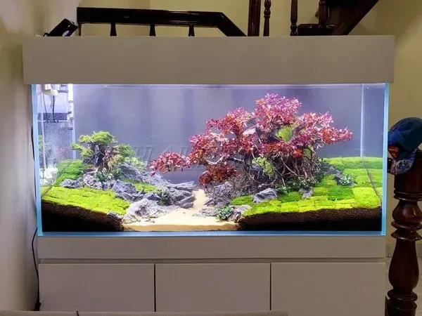 Giá hồ thủy sinh 1m2 bằng kính siêu trong