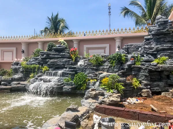 Cận cảnh hồ cá sân vườn với cây dương xỉ lá me bao quanh, tạo vẻ đẹp hài hòa.