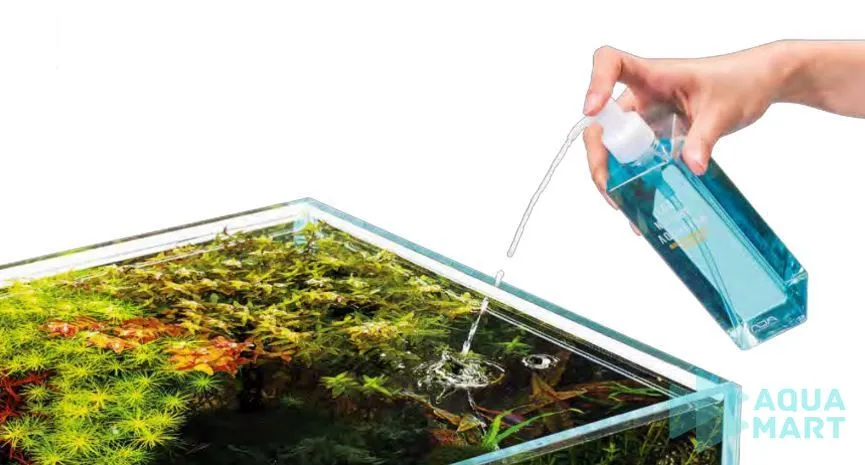 Cẩn trọng khi bón phân cho bể thủy sinh mới setup