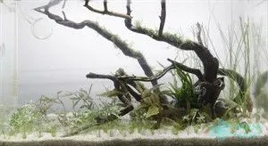 Kiểm tra hệ thống thiết bị bể thủy sinh định kỳ