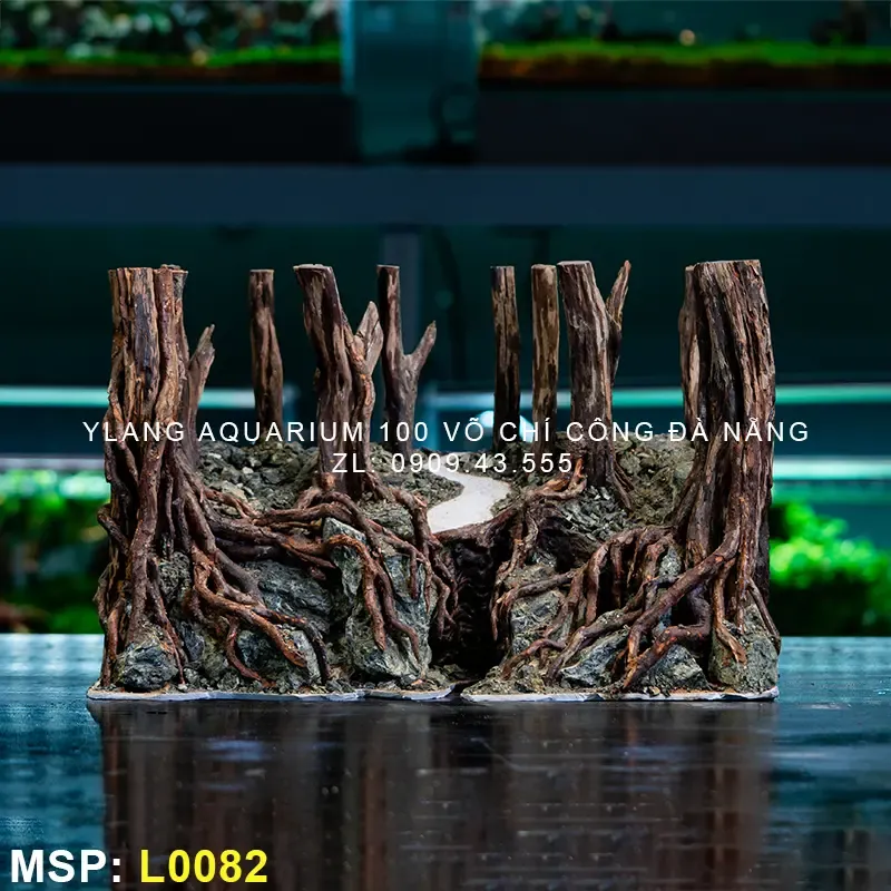 Layout rừng cây với nhiều tầng lá xanh mướt