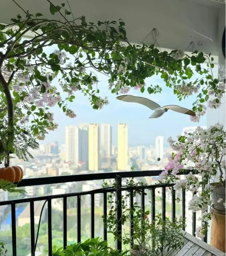 Một chậu hoa giấy nhỏ xinh đặt trên bệ cửa sổ, thu hút ánh nhìn.