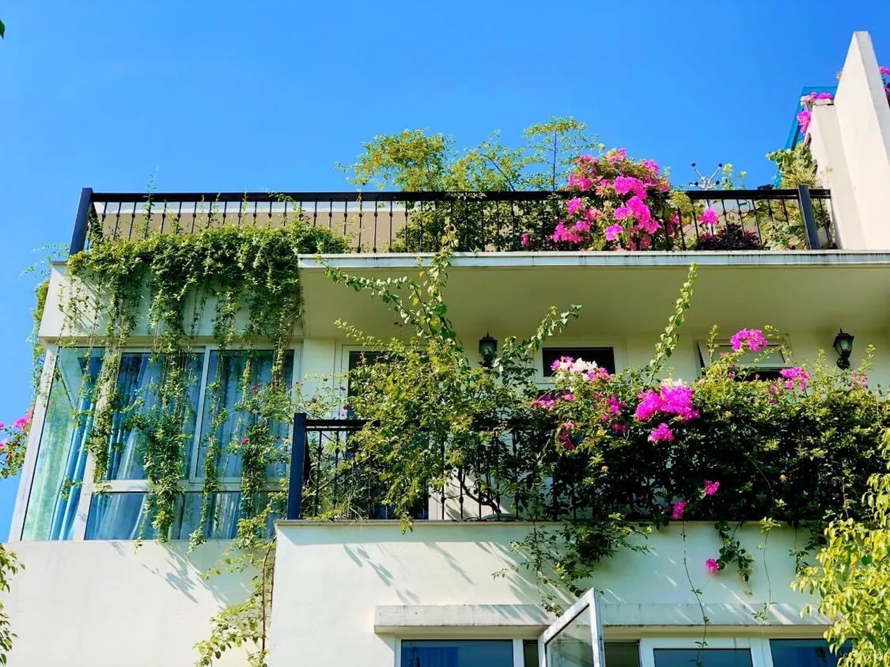 Mẹ đảm khéo tay “hóa biến” ban công thành vườn hoa giấy tuyệt đẹp ở Hà Nội - 1