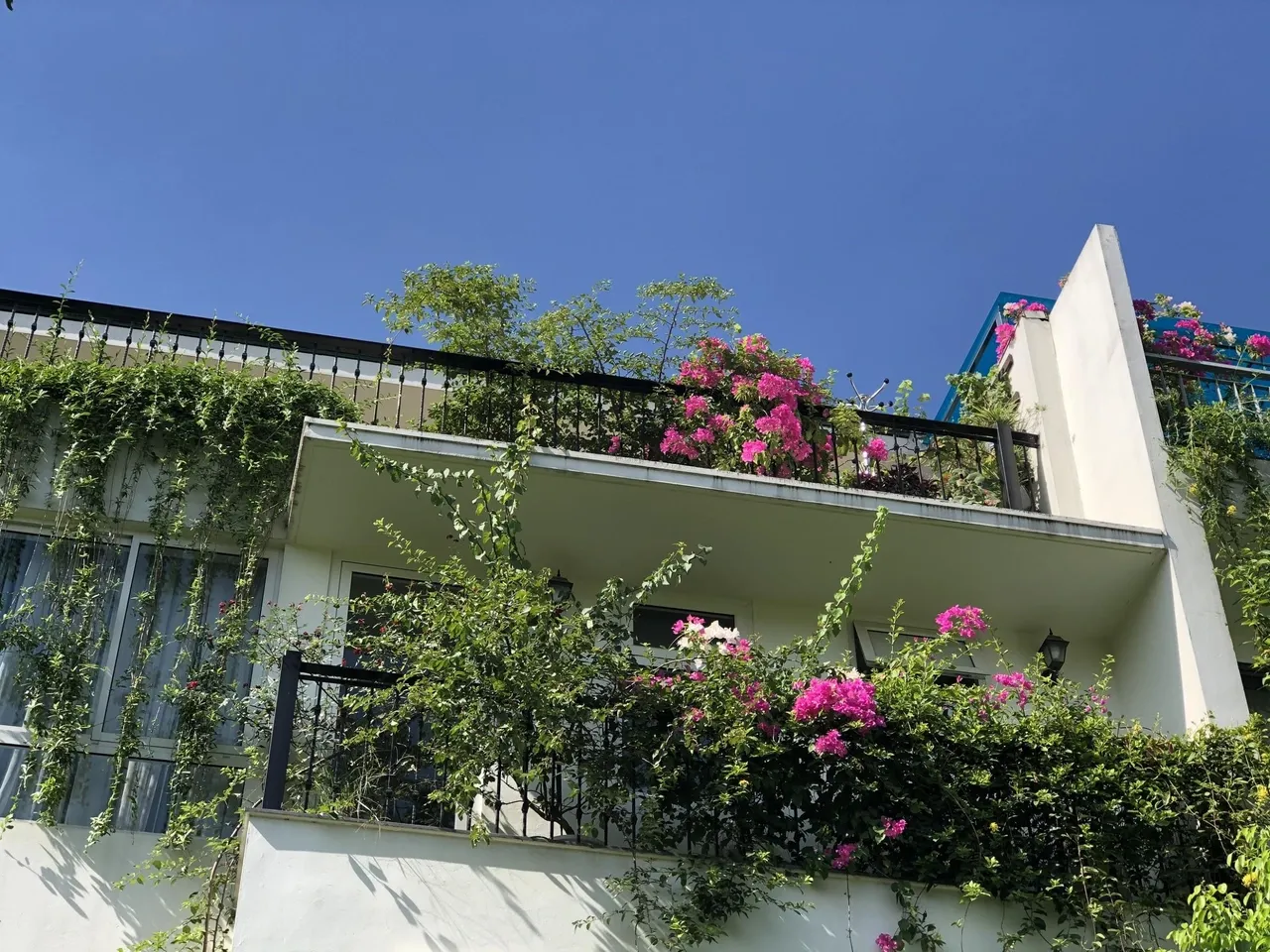 Mẹ đảm khéo tay “hóa biến” ban công thành vườn hoa giấy tuyệt đẹp ở Hà Nội - 3