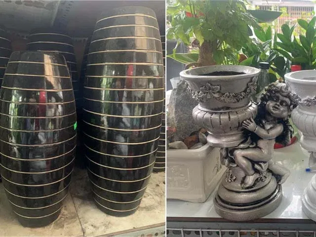 nơi bán chậu cây cảnh hải vân sơn