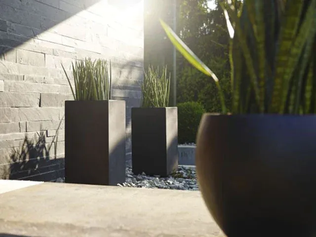 Nơi bán chậu cây cảnh hcm mabell