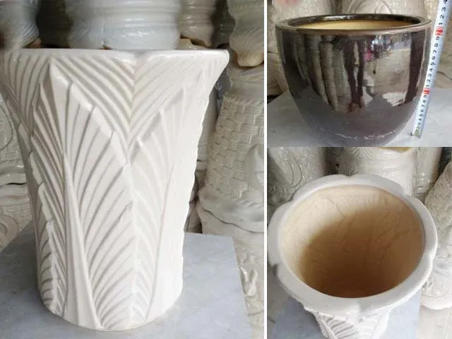 nơi bán chậu cây cảnh Vườn ươm cây cảnh ILG Bình Tân