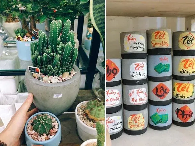 nơi bán chậu cây cảnh xi măng phố cây xanh