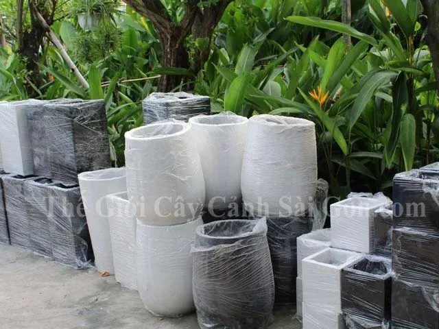 nơi bán chậu cây cảnh xi măng thế giới cây cảnh sài gòn