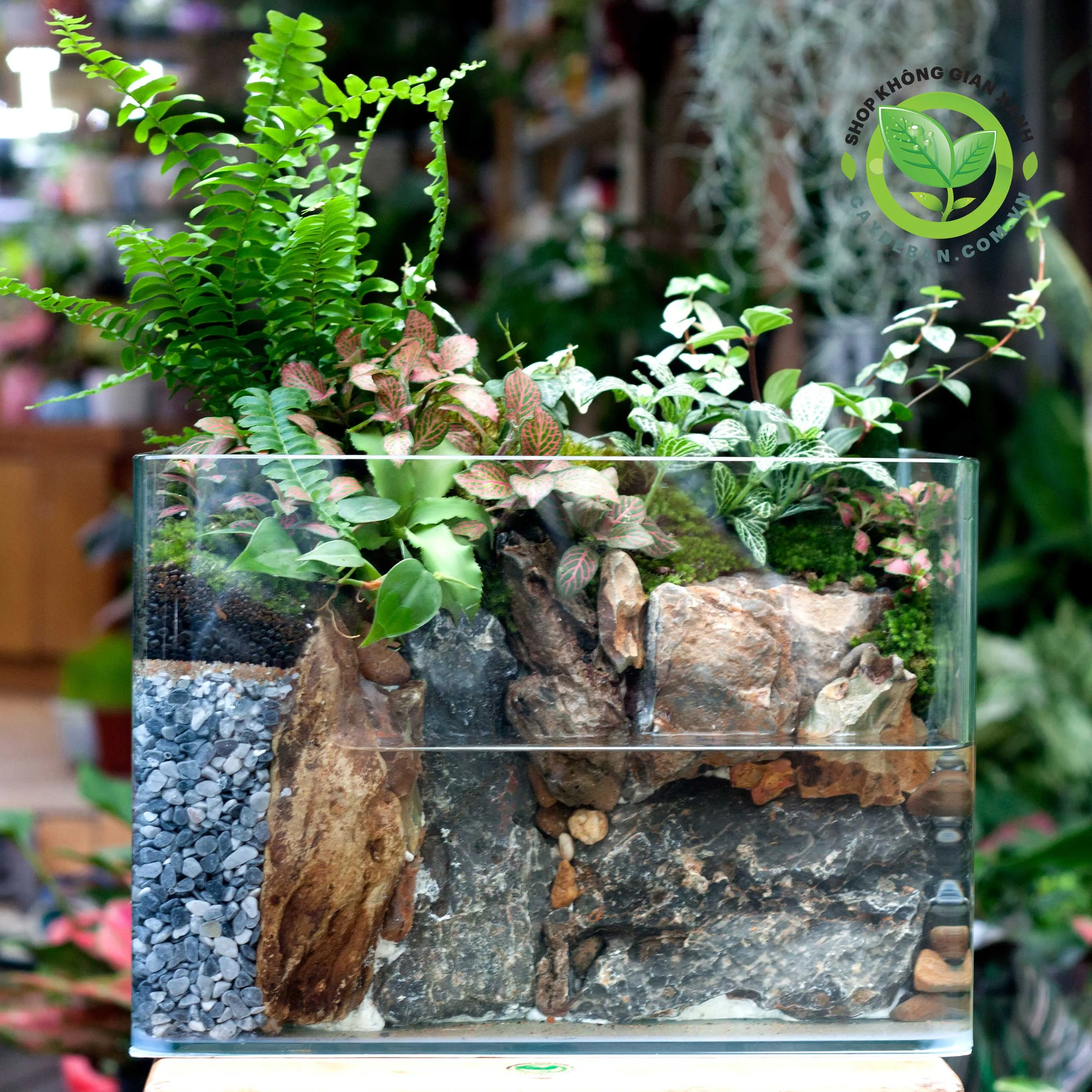 Terrarium hình bán nguyệt với cây xanh và phần nước ở đáy