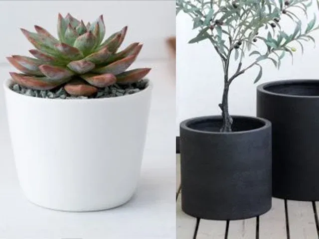 Thái Lâm Landscape - địa chỉ bán chậu cây cảnh TPHCM