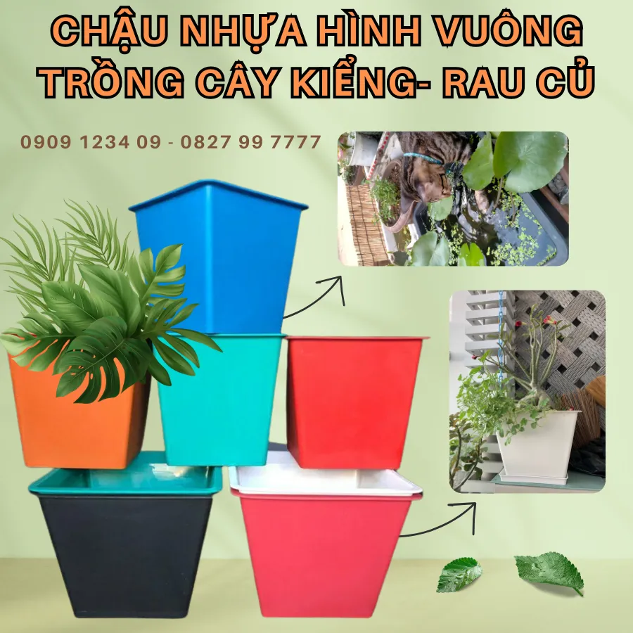 Chậu nhựa vuông mỏng với nhiều màu sắc