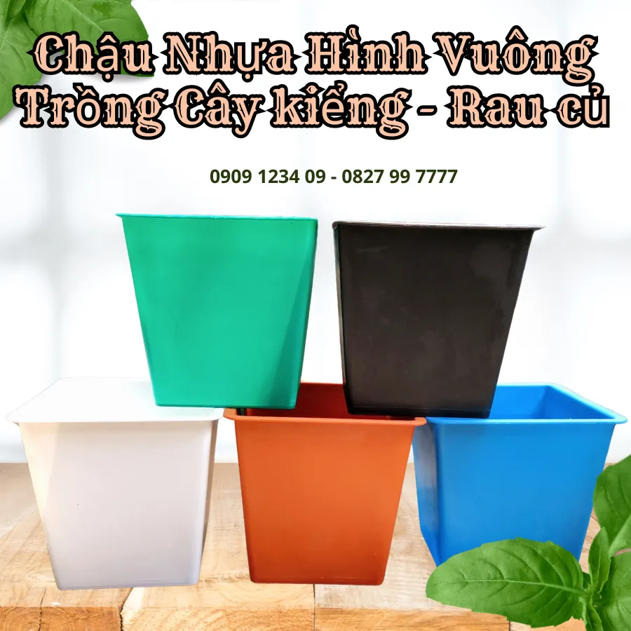 Chậu vuông mỏng trồng cây tại Vườn Sài Gòn