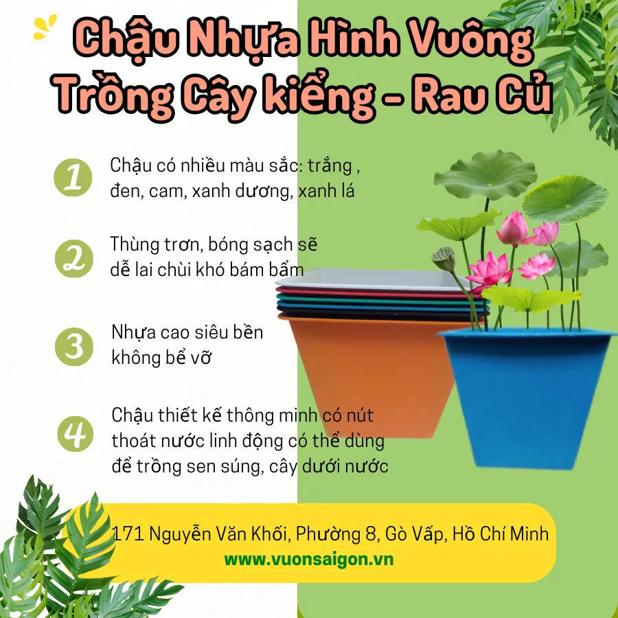 Cận cảnh chậu nhựa vuông mỏng được sử dụng để trồng cây