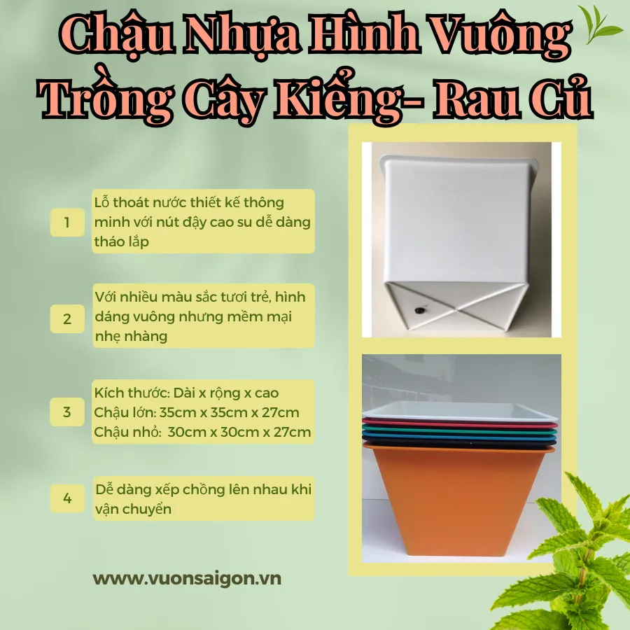Chậu nhựa vuông mỏng với bề mặt nhẵn mịn, gia công kỹ lưỡng