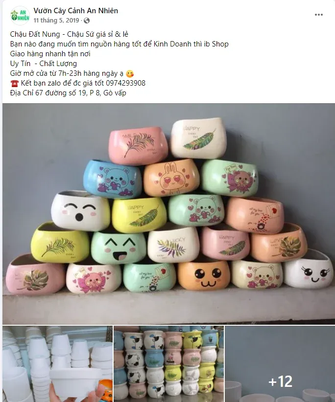 vườn cây cảnh an nhiên