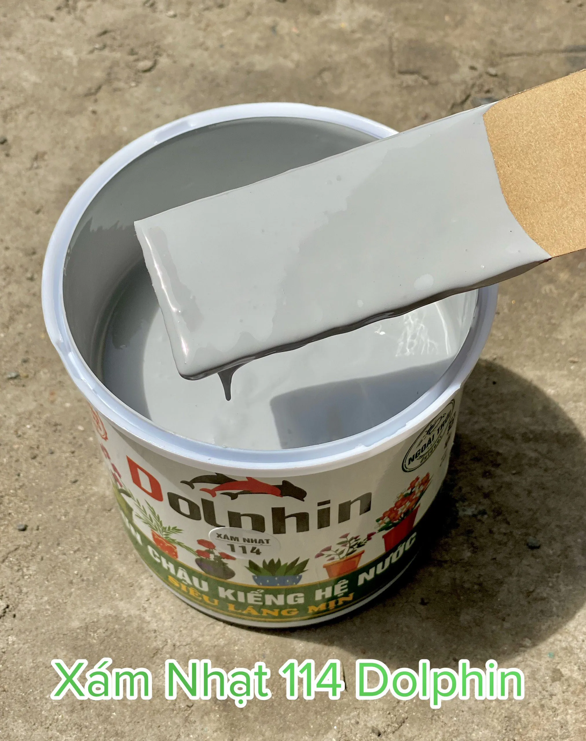 Sơn Dolphin xám nhạt 114
