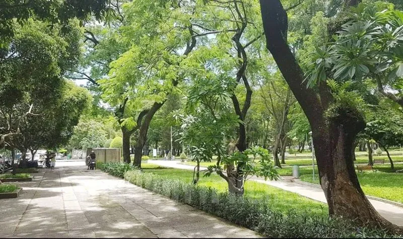 Cây xanh công trình tại khu đô thị