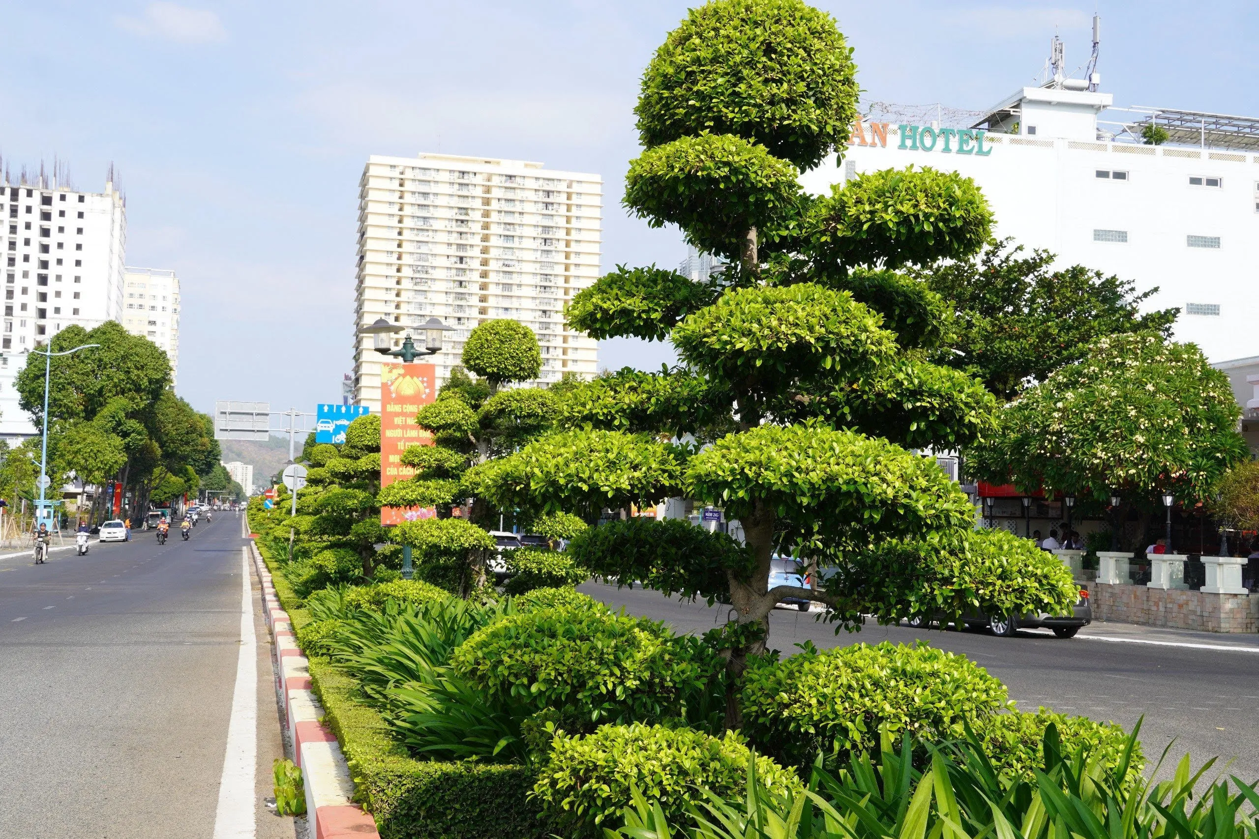 Cây xanh trang trí cảnh quan