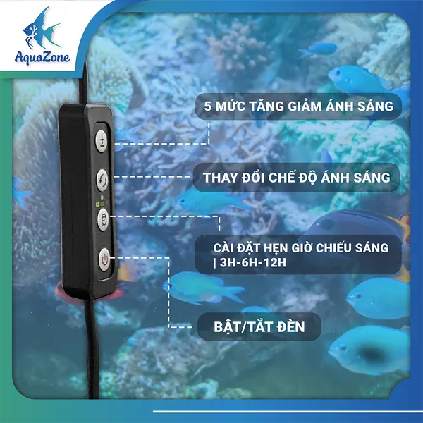 Nhiều đèn led RGB có tính năng thiết lập thời gian chiếu sáng