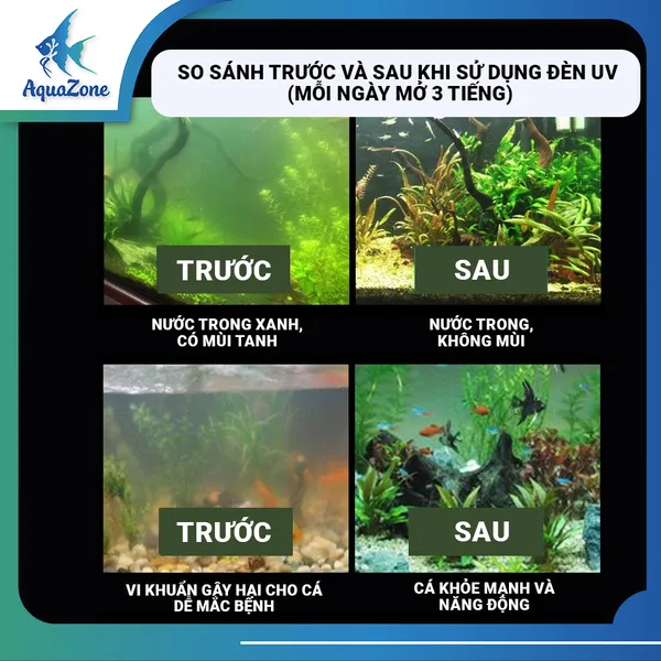 Đèn UV cải thiện chất lượng nước hiệu quả