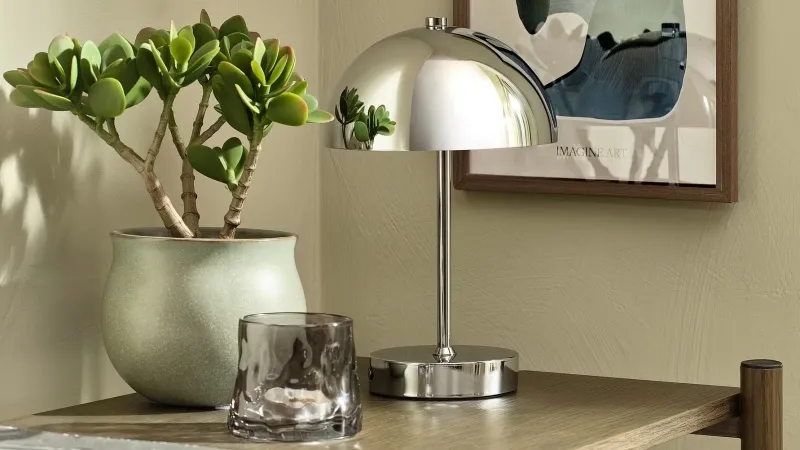 Trang trí cây giúp tô điểm cho căn nhà của bạn và cải thiện môi trường sống đáng kể.