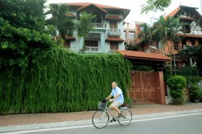 Cây trồng hàng rào