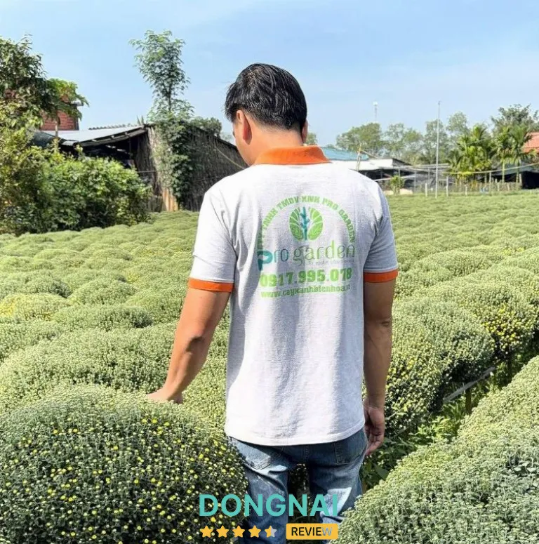 Cây xanh được chăm sóc cẩn thận tại Pro Garden