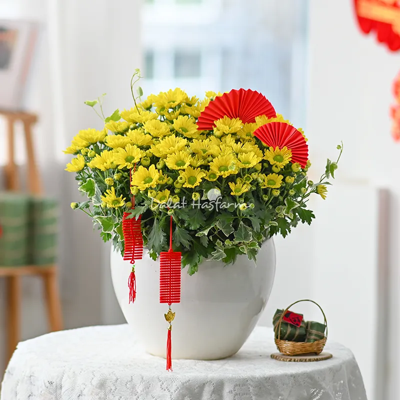 Chậu hoa cúc với những chú cá trang trí mang lời chúc tốt đẹp
