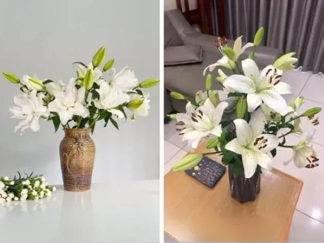 Hoa ly tượng trưng Tết