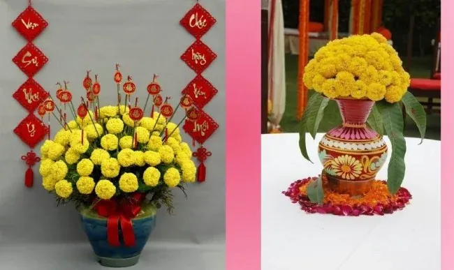 Hoa vạn thọ chưng Tết cầu bình an