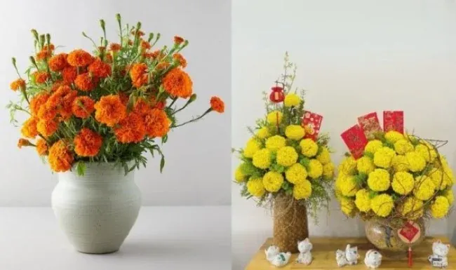 Hoa vạn thọ chưng Tết