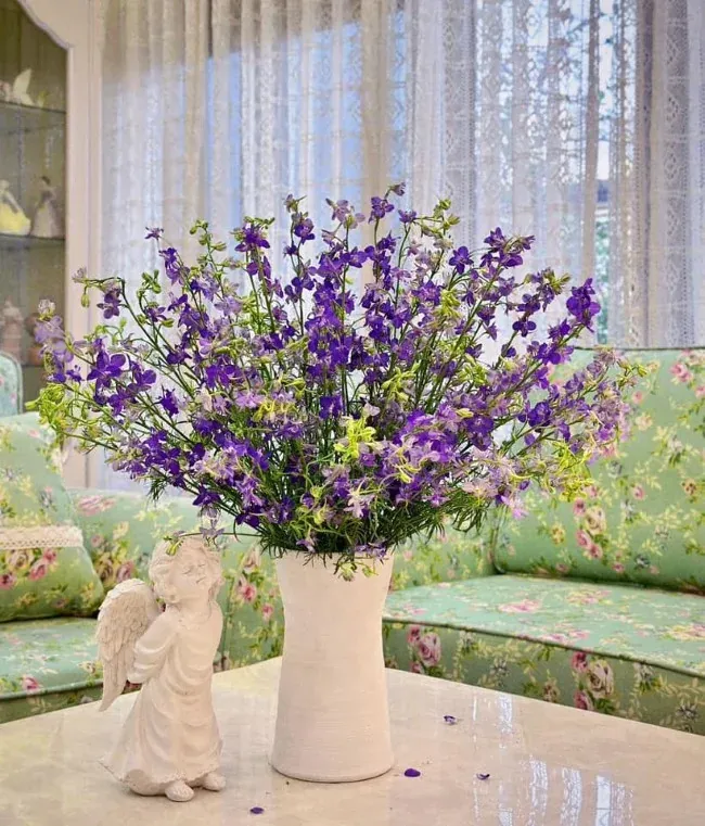 Hoa Violet chưng Tết