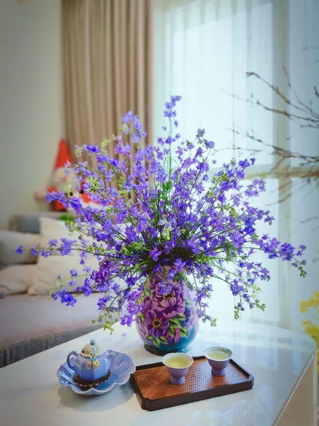 Hoa Violet chưng Tết