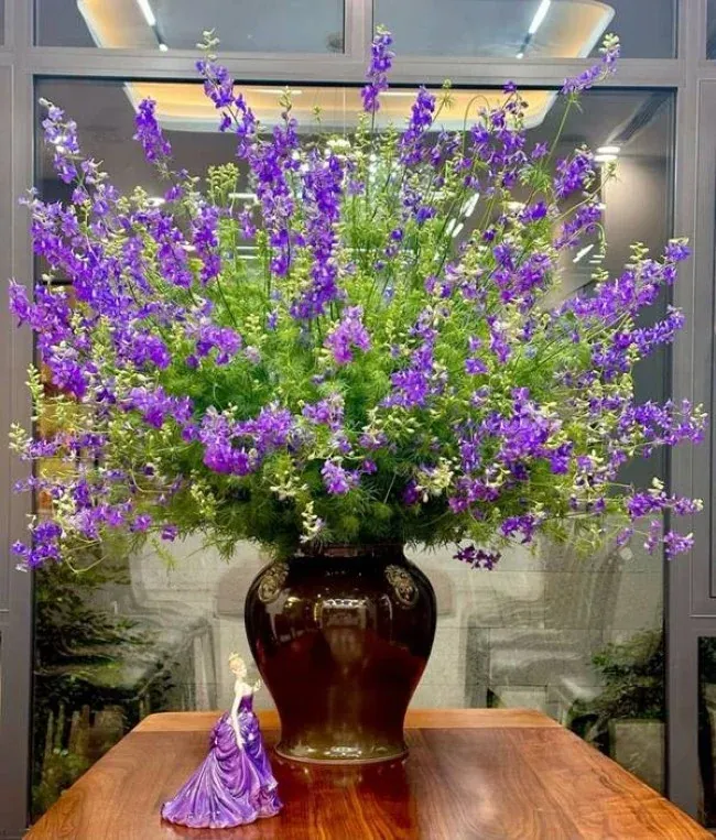 Hoa Violet chưng Tết