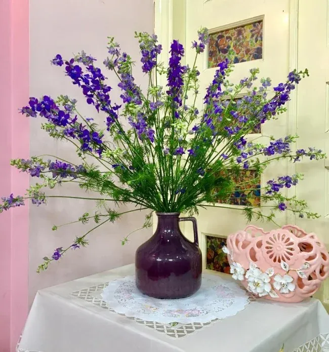 Hoa Violet chưng Tết
