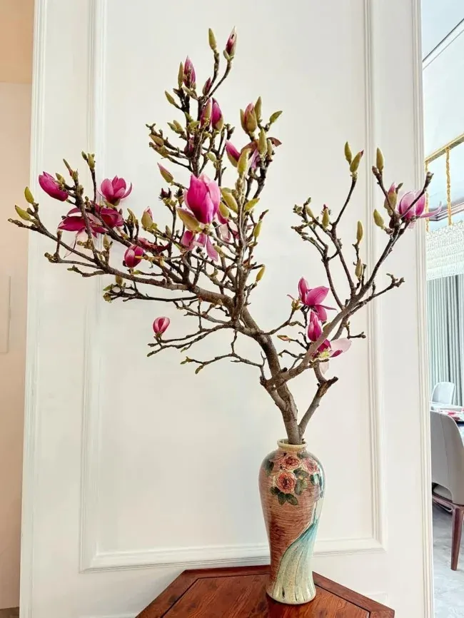 Hoa mộc lan của Trung Quốc