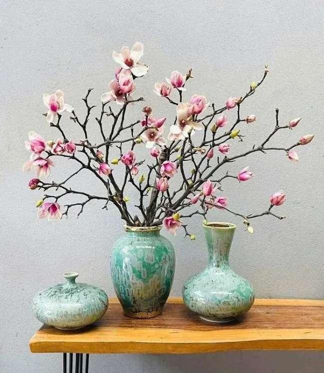 Hoa mộc lan của Trung Quốc