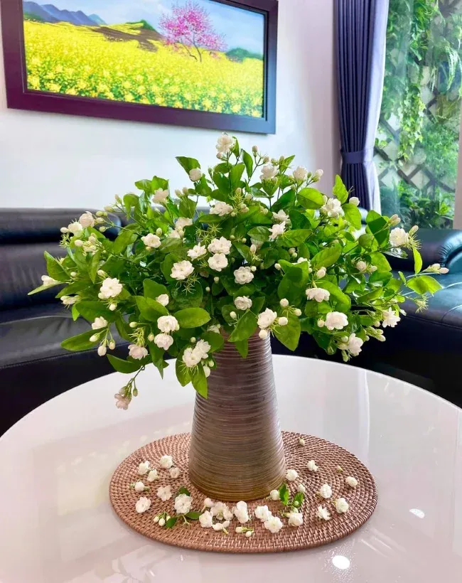 Hoa lài của Ấn Độ